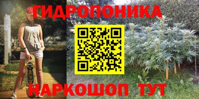 гашиш Новодвинск