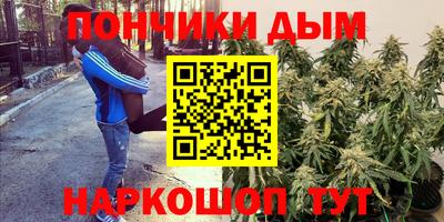 гашиш Новодвинск