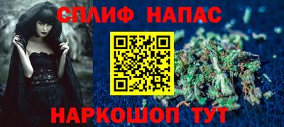 прущие грибы Пенза