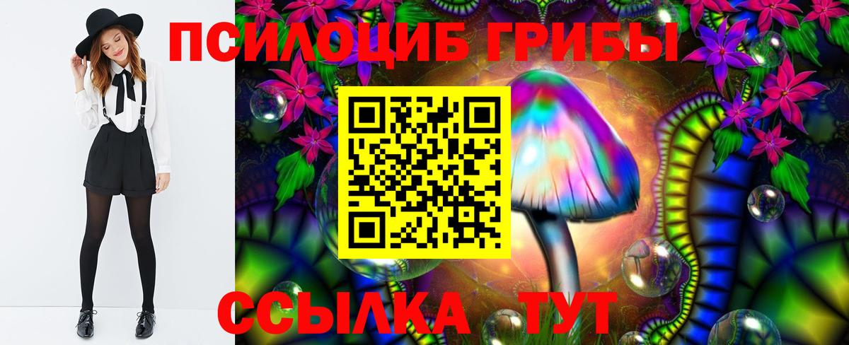 Урус-Мартан  Псилоцибиновые грибы прущие грибы  Вход с VPN 